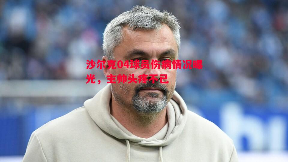 沙尔克04球员伤病情况曝光，主帅头疼不已