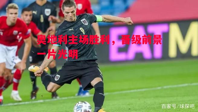 奥地利主场胜利，晋级前景一片光明