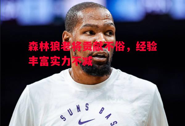 森林狼老将贡献不俗，经验丰富实力不减