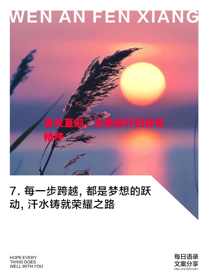 勇往直前，无畏前行的体育精神