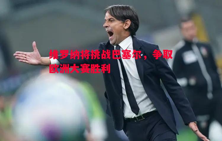 维罗纳将挑战巴塞尔，争取欧洲大赛胜利