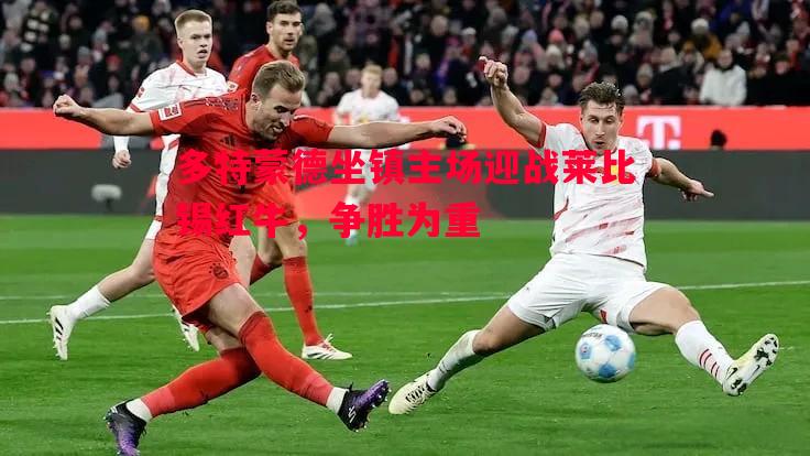 多特蒙德坐镇主场迎战莱比锡红牛，争胜为重