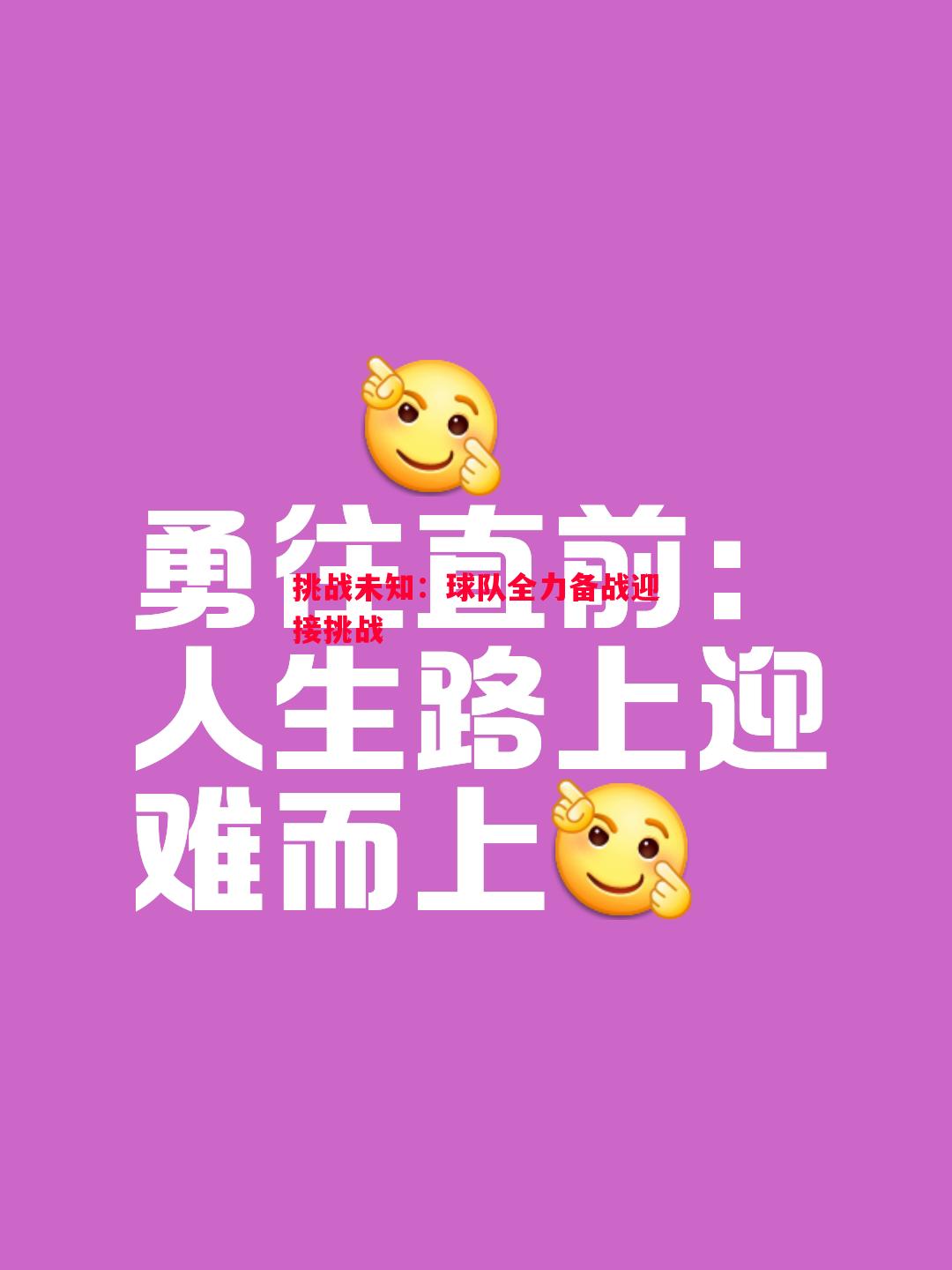 挑战未知：球队全力备战迎接挑战