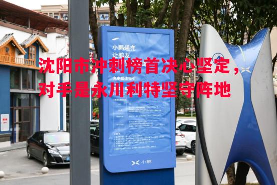 利记-沈阳市冲刺榜首决心坚定，对手是永川利特坚守阵地