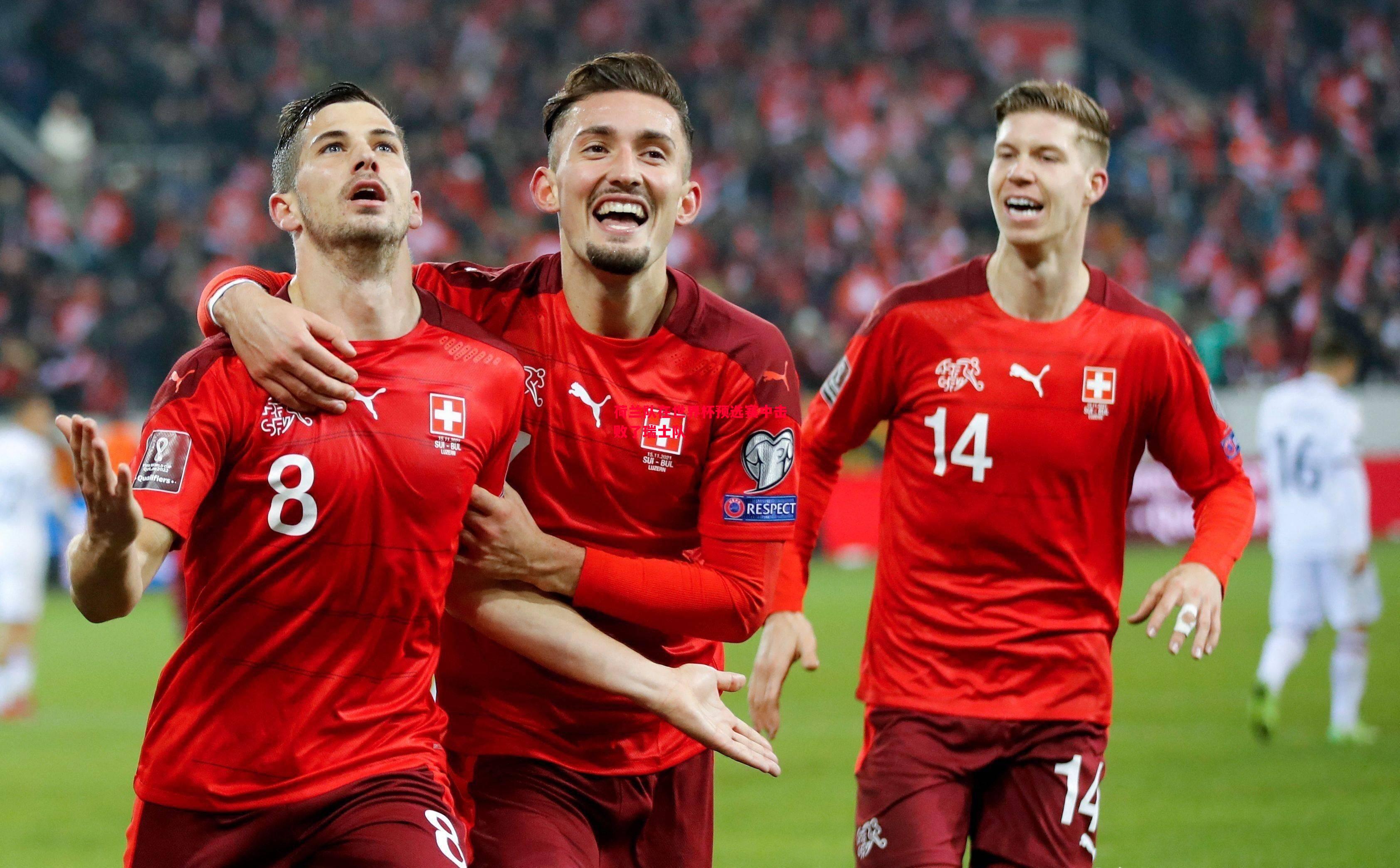 利记-荷兰队在世界杯预选赛中击败了瑞士队