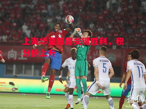 利记平台-上海华夏取得关键胜利，积分榜上升
