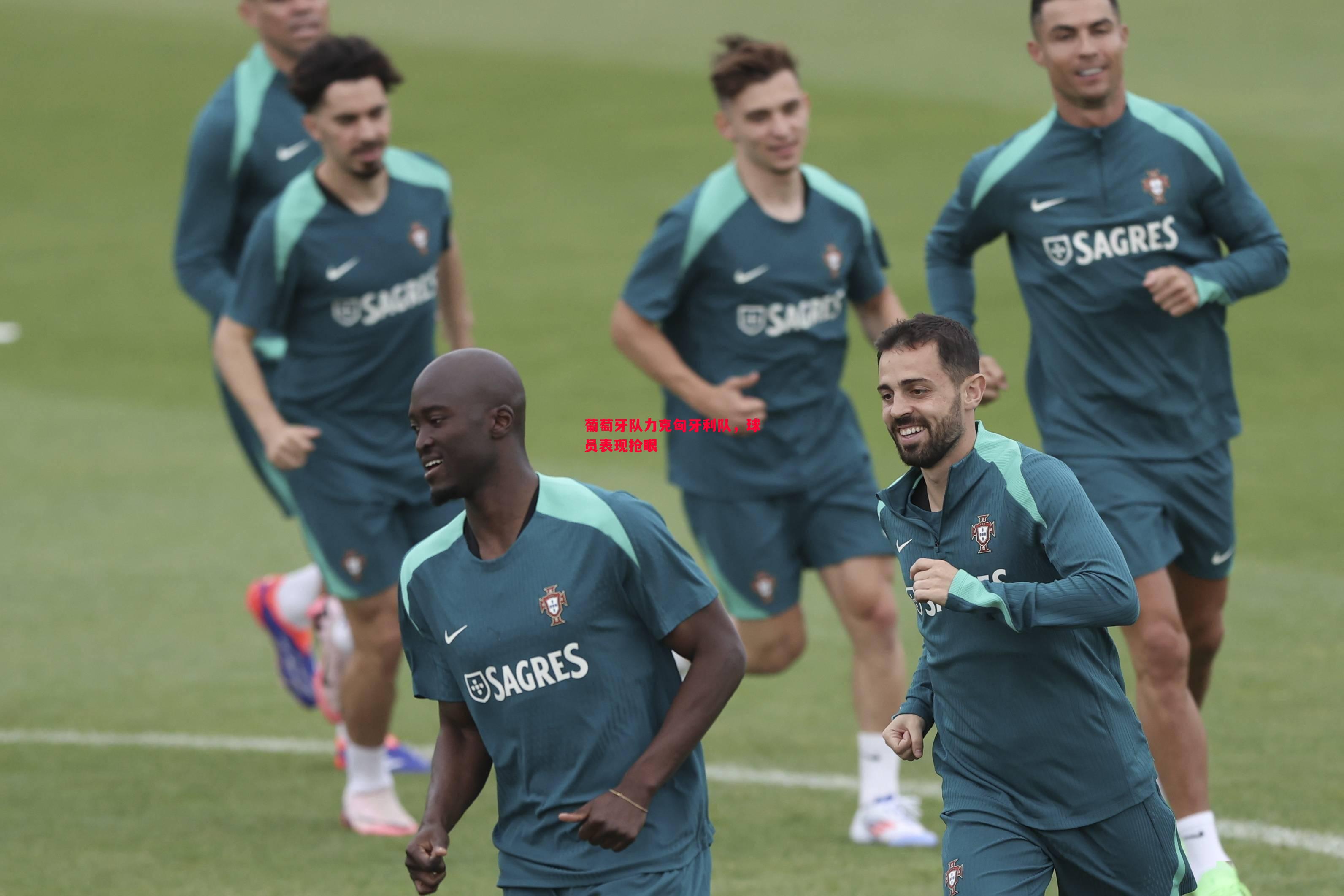 利记官网-葡萄牙队力克匈牙利队，球员表现抢眼