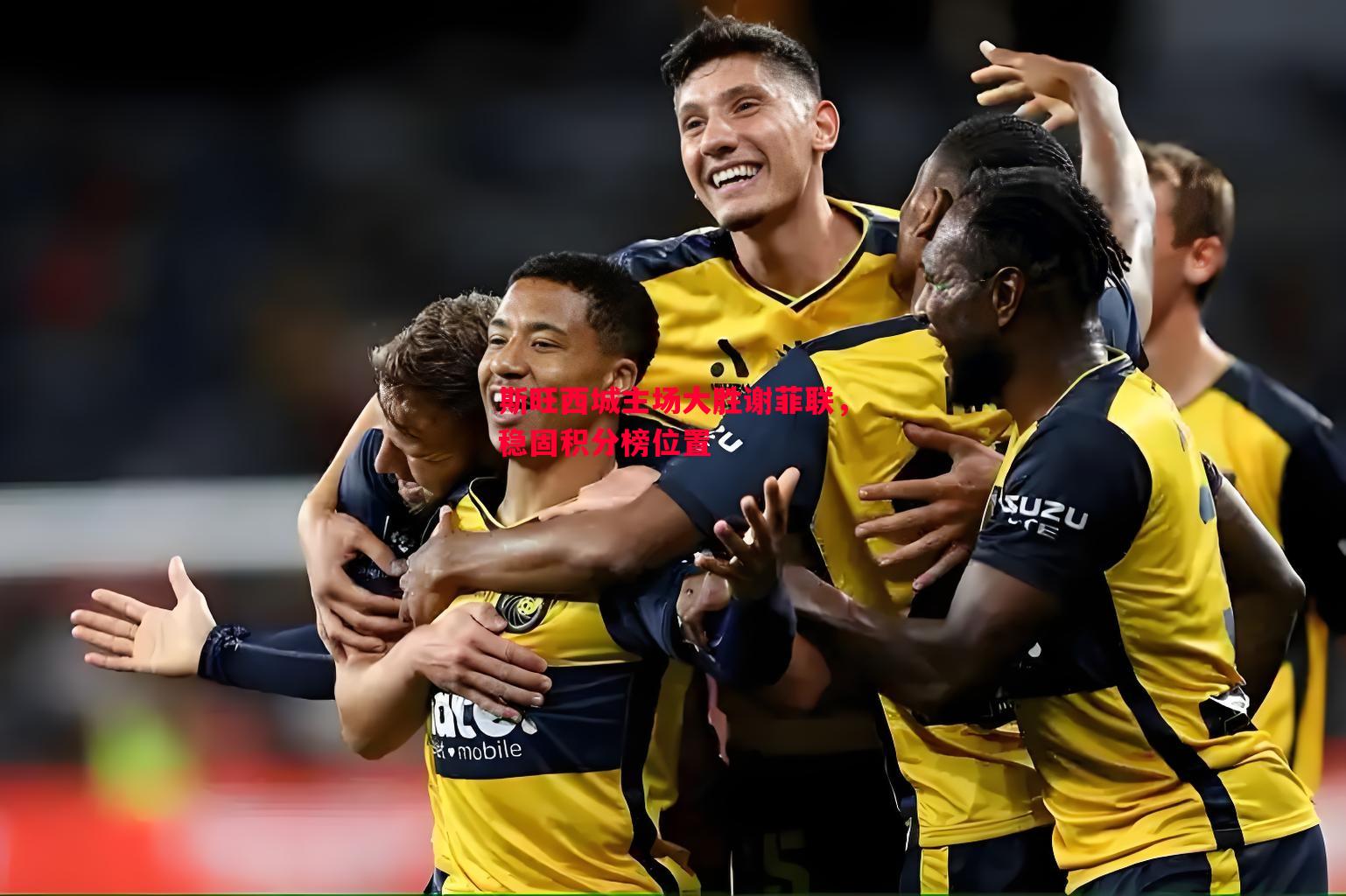 利记官方网站-斯旺西城主场大胜谢菲联，稳固积分榜位置